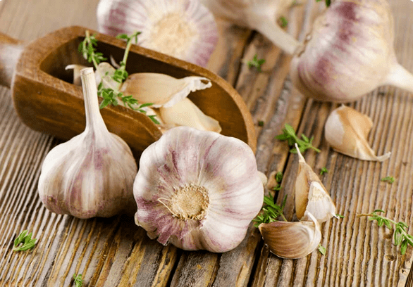Bawang putih dari cacing