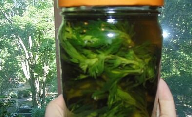 Herba Tincture Untuk Mengeluarkan Parasit Dari Badan